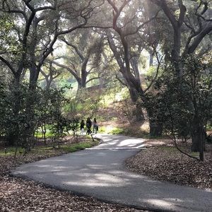 Meet your Posher, German